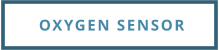 OXYGEN SENSOR